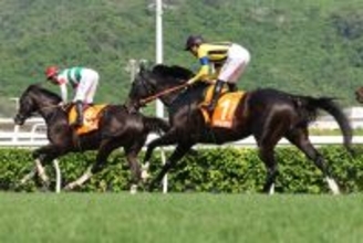 【チャンピオンズマイル】ジャンタルマンタルまさかの１３着に川田将雅騎手「まずは無事にゴールまで走ってくれたことに感謝しています」