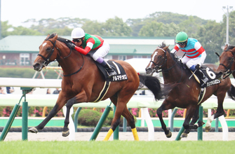 【函館１０Ｒ・横津岳特別】武豊騎手５０００勝までマジック２！　キタサンブラックの半弟アルマデオロを華麗にエスコート