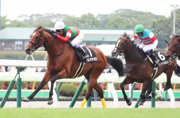 【函館１０Ｒ・横津岳特別】武豊騎手５０００勝までマジック２！　キタサンブラックの半弟アルマデオロを華麗にエスコート