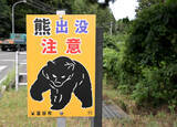 「【女子ゴルフ】クマ対策を徹底　ドローンで監視、爆竹や「クマが嫌がる匂い」を散布　昨年は無観客試合…明治安田レディス」の画像1