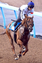 【アイビスＳＤ】９歳馬ウイングレイテストがラスト１０秒５の超抜時計　松岡正海騎手「最後にビシッと」
