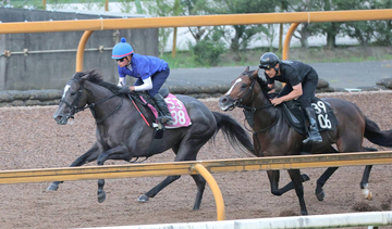 【中京記念】夏に咲くナムラコスモス　抜群の動きで重賞Ｖへ　田口貫太騎手が期待「しっかりと仕上がりました」