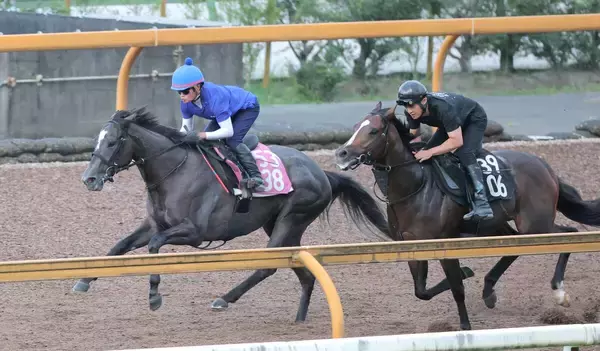 【中京記念】夏に咲くナムラコスモス　抜群の動きで重賞Ｖへ　田口貫太騎手が期待「しっかりと仕上がりました」