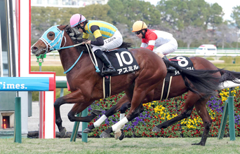 【阪神９Ｒ・万両賞】アスミルがしぶとく脚を伸ばしてＶ　団野大成騎手はさらなる成長に期待「まだ良化途上」
