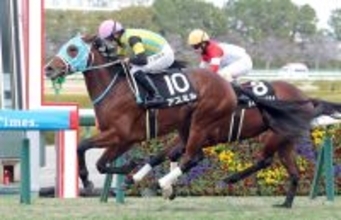 【阪神９Ｒ・万両賞】アスミルがしぶとく脚を伸ばしてＶ　団野大成騎手はさらなる成長に期待「まだ良化途上」