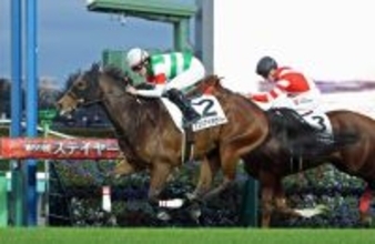 月曜中山競馬場の注目激走馬…中山１１Ｒサンライズステークス