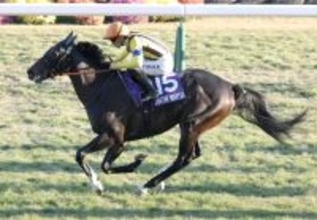 【注目馬動向】ジャンタルマンタルはドバイ・ターフを目指す　マイル以外の距離なら皐月賞３着以来、約２年ぶり４度目