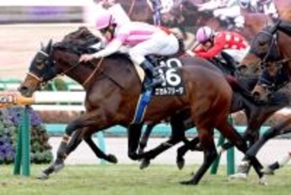 【中山１１Ｒ・初富士Ｓ】エセルフリーダが中山４戦３勝でオープン入り　次走は中山牝馬Ｓを選択肢に