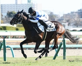 【注目馬動向】マーガレットＳ２着のヒシアイラは葵Ｓ　ホワイトオーキッドは西塚洸二騎手との再コンビでファルコンＳへ