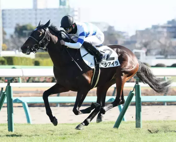 【注目馬動向】マーガレットＳ２着のヒシアイラは葵Ｓ　ホワイトオーキッドは西塚洸二騎手との再コンビでファルコンＳへ