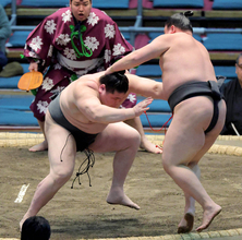 横綱のしこ名を継ぐ旭富士、序ノ口デビューから１２連勝　対戦相手も脱帽「うわさ通り強かった」