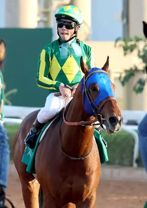 【注目馬動向】サウジダービー３着のサトノボヤージュは兵庫チャンピオンシップへ　鞍上は引き続き戸崎圭太騎手