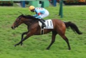 【中山７Ｒ・３歳１勝クラス】ガラベイヤが驚がくの末脚で２勝目　丸山元気騎手「いいはじけっぷり」