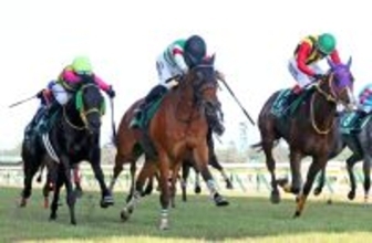 【新潟大賞典】グランディアＶ導いた西村淳也騎手、ヴィクトリアＭでも「中内田厩舎の馬とウィナーズサークルに」