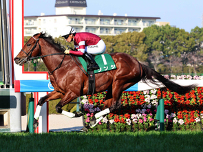 藤田晋オーナーのソンシが電撃引退　今年の阪急杯でレコードＶ　ニュージーランドで種牡馬入りへ