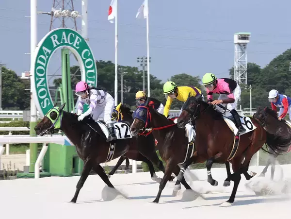 園田９Ｒで３連単１２３９万円超　佐々木世麗騎手がＶで兵庫競馬史上最高配当を演出　９→１２→４番人気の決着で的中１票