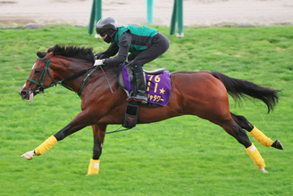 【キーンランドＣ】パンジャタワー連覇へ死角なし馬なり猛時計