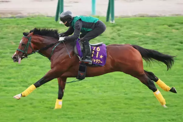 【キーンランドＣ】パンジャタワー連覇へ死角なし馬なり猛時計