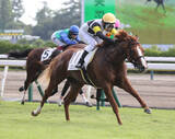 「【新潟３Ｒ・２歳新馬】田辺裕信騎手「あやしい部分がある」と半信半疑も…単勝１・７倍ジップスパーク完勝」の画像1