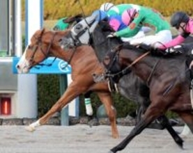 【阪神１１Ｒ・りんくうＳ】メイショウホウレンが競り合いを制す　鮫島克駿騎手「最後出てくれて良かった」