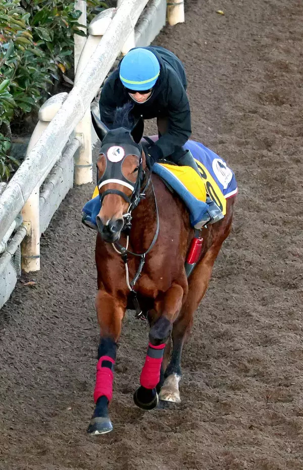 【阪神Ｃ】距離向かず…武豊騎手騎乗のジューンブレア１１着　前走まで３戦連続２着も鞍上「ちょっと長いのかな」