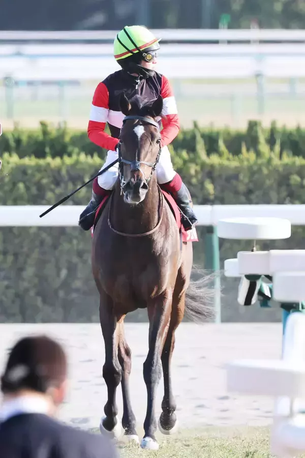 【プロキオンＳ】ジェイパームスは前走ダート転向圧勝で期待集めるも７着　「もう少し内に…」鮫島克駿騎手