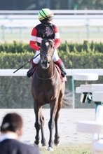 【プロキオンＳ】ジェイパームスは前走ダート転向圧勝で期待集めるも７着　「もう少し内に…」鮫島克駿騎手