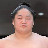 「藤青雲と藤凌駕、藤島部屋コンビが新入幕　藤青雲は明大出身で６人目の幕内昇進　…春場所番付発表」の画像1