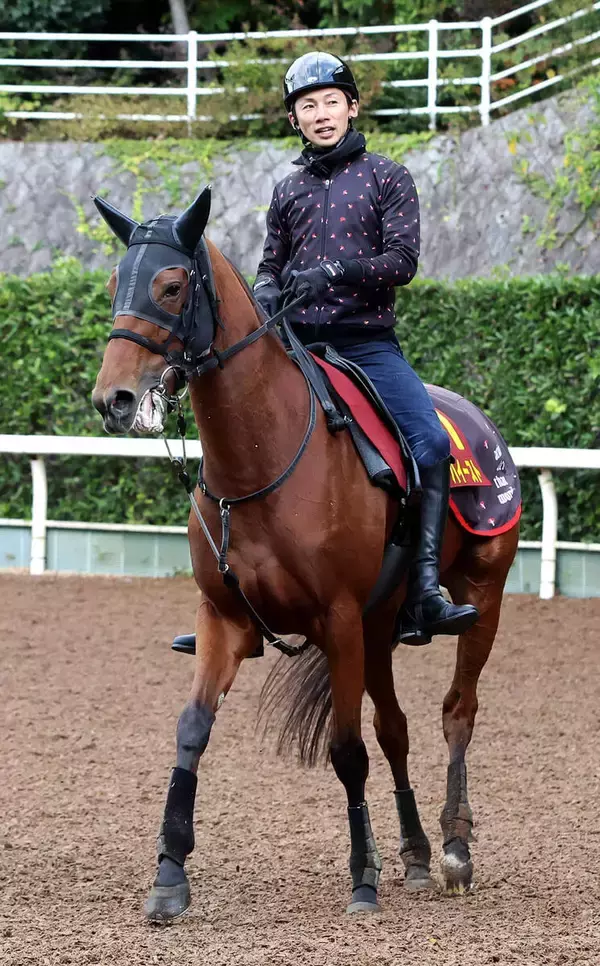 【金鯱賞】中京と相性のいいセキトバイースト　陣営「落ち着きが出て大人になりました」