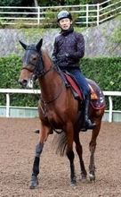 【金鯱賞】中京と相性のいいセキトバイースト　陣営「落ち着きが出て大人になりました」