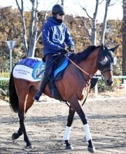 【金鯱賞】「何としても勝ってＧ１に行きたい」宮田調教師も気合　シルバーコレクター返上しドゥラドーレス大舞台へ　