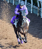 「【阪神牝馬Ｓ】オークス馬カムニャックは５枠５番　２冠牝馬エンブロイダリーは１枠１番からスタート」の画像1