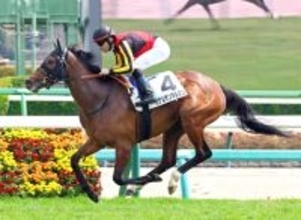 【スイートピーＳ・坂本の特注馬】まだまだ伸びしろたっぷりのカナルサンマルタン　良血の底力は侮れない