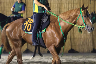 【不来方賞】ホリエモンの愛馬イッテラッシャイは２枠２番　武豊騎手とコンビのシーズザスローンは６枠７番　枠順確定