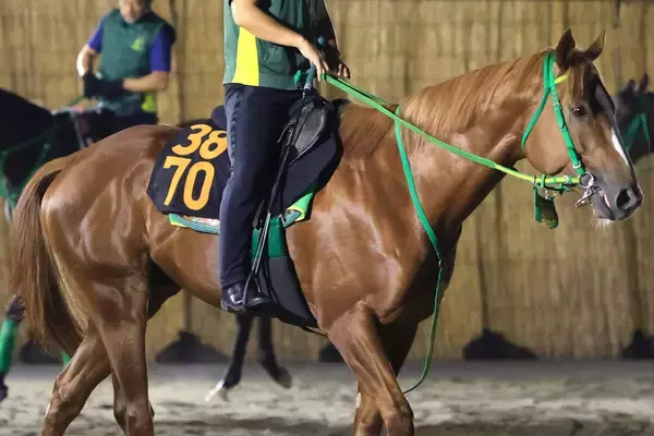【不来方賞】ホリエモンの愛馬イッテラッシャイは２枠２番　武豊騎手とコンビのシーズザスローンは６枠７番　枠順確定