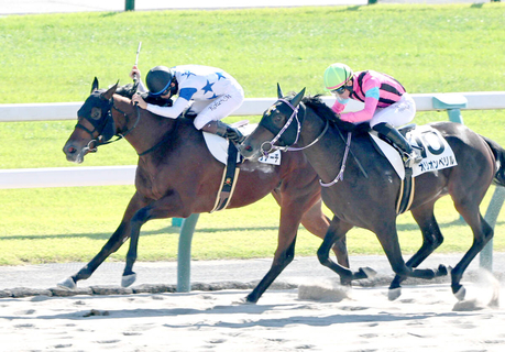 【京都６Ｒ・２歳新馬】チュウワアーチが激しい競り合いを制す　松山弘平騎手「３着馬を９馬身離していますし…」