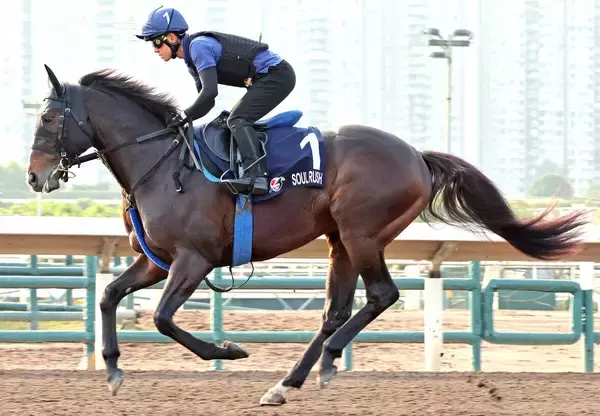【香港マイル】ソウルラッシュは現役最後の調整を終える　池江調教師「ステイゴールドのようになってほしい」