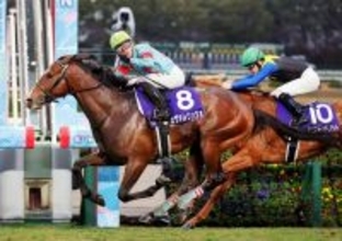 【ＪＲＡ賞授賞式】最優秀２歳牡馬カヴァレリッツォは皐月賞を目指す　シルクレーシング・米本代表「一戦一戦、心身の成長が見られる賢い馬」