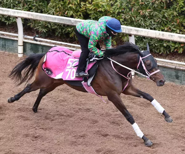 【チューリップ賞】タイセイボーグ急成長５００キロ惜敗続きに終止符だ