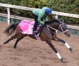 【チューリップ賞】タイセイボーグ急成長５００キロ惜敗続きに終止符だ