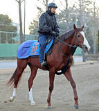 「２４年のエルムＳを制したペイシャエスは美浦・高木登厩舎に転厩　小西調教師が定年引退のため」の画像1