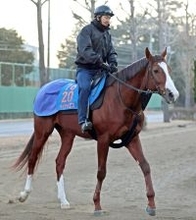 ２４年のエルムＳを制したペイシャエスは美浦・高木登厩舎に転厩　小西調教師が定年引退のため