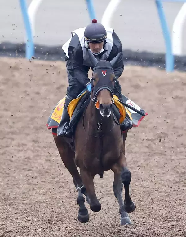 【中山牝馬Ｓ】重賞連勝を狙うニシノティアモは７枠１４番　パラディレーヌは２枠４番　枠番確定