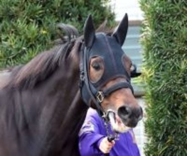 【Ｇ１トク捜リレー】Ｇ１仕様！　栗東・ヤマタケ記者は万全に仕上がった川田将雅騎手騎乗の４歳馬に注目　大阪杯