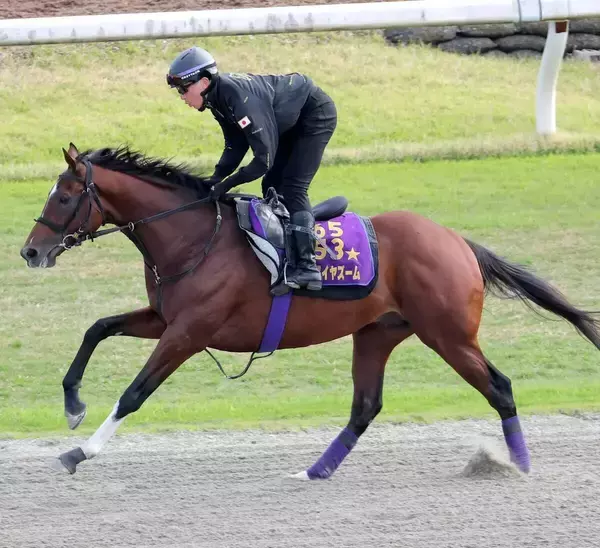 【読売マイラーズＣ・特選有力馬チェック】アドマイヤズームは買うべき？