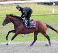 【読売マイラーズＣ・特選有力馬チェック】アドマイヤズームは買うべき？