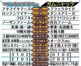 【ヴィクトリアＭ】カムニャックの友道調教師がエンブロイダリーとの対決に秘める特別な思い「やはり気になるもの」