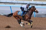 「日曜東京競馬場最終レースの注目激走馬…東京１２Ｒ目黒記念・Ｇ２」の画像1
