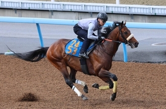 日曜東京競馬場最終レースの注目激走馬…東京１２Ｒ目黒記念・Ｇ２