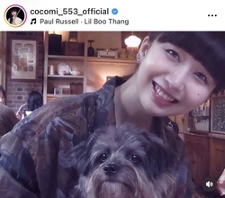 Ｃｏｃｏｍｉ「綺麗なお姉さんたちに…」ご機嫌な愛犬とカフェでまったり「撫でてもらえてご満悦」